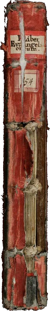 codex_von_der_seite_2_transp.png