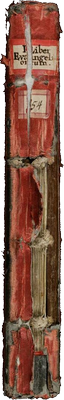 codex_von_der_seite_2_transp.png